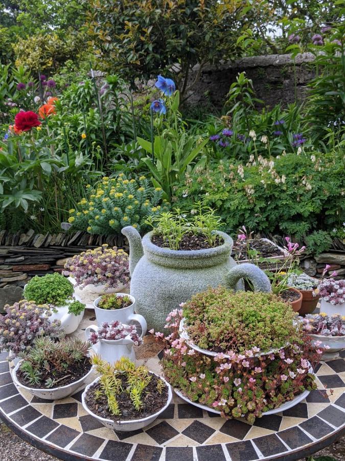 Drumfearne Guesthouse & Tearoom Carradale Extérieur photo